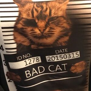Jirentong Black Sweatshirt with “ Bad Cat” Cat Graphic! New! Never worn!